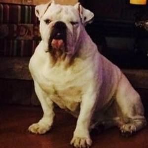 Meet your Posher, Benjamin